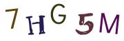 Beeld-CAPTCHA