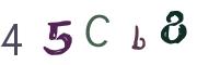 Beeld-CAPTCHA