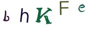 Beeld-CAPTCHA