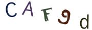 Beeld-CAPTCHA