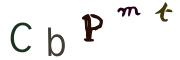 Beeld-CAPTCHA