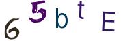Beeld-CAPTCHA