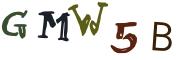 Beeld-CAPTCHA