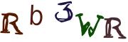 Beeld-CAPTCHA
