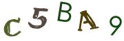 Beeld-CAPTCHA